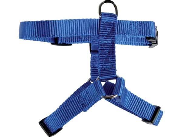 Zolux ZOLUX Koiran valjaat nailonhihna 30/45cm 15mm väri sininen