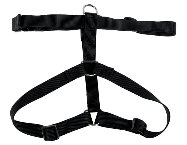 Zolux ZOLUX Hundsele nylonband 50/90cm 25mm färg röd