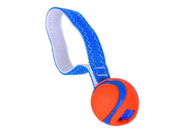 Chuckit! ULTRA TUG SMALL (231101)