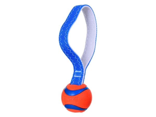 Chuckit! ULTRA TUG SMALL (231101)