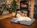 Pikkukuva 2 / 5: Hobbydog XL TUMMAN HARMAA ECOLEN MATERIAALI