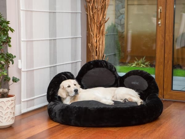 Hobbydog L ŁAPA EXCLUSIVE CZARNY