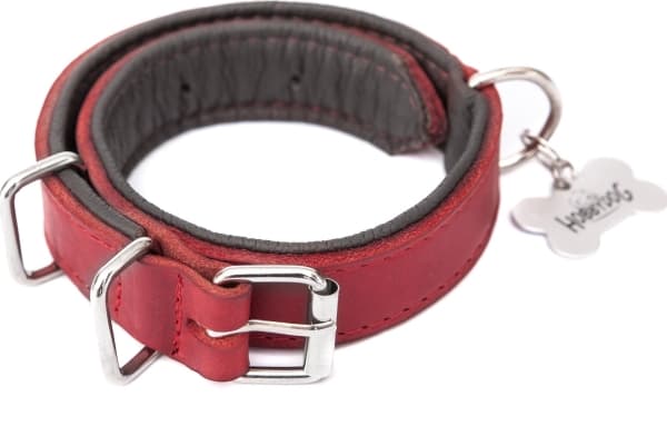 Hobbydog Läderhalsband 30x600 Röd R2