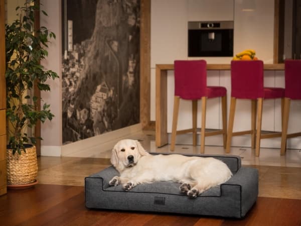 Hobbydog Bed Glamour Ny, svart, inari, XXL