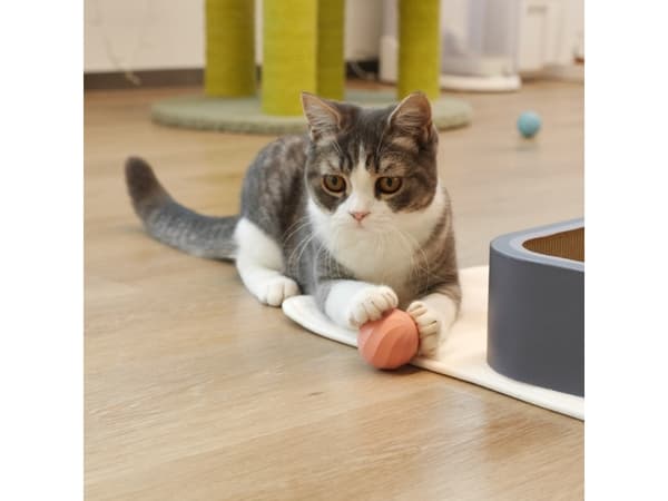 DoggyVillage Ball for veldig små hunder og katter Doggy Village MT7111P FRANTIC ORB MINI interaktiv, bevegelig, rosa + gratis godbit