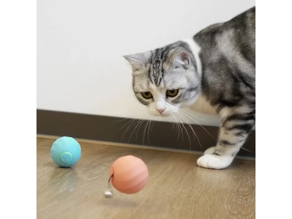 DoggyVillage Ball for veldig små hunder og katter Doggy Village MT7111P FRANTIC ORB MINI interaktiv, bevegelig, rosa + gratis godbit