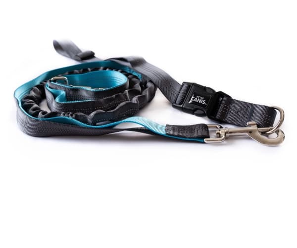Jogging Leash + Belt