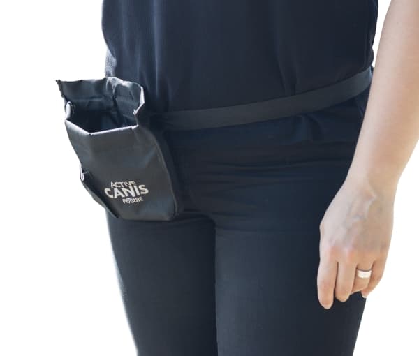 Treat bag with easy close