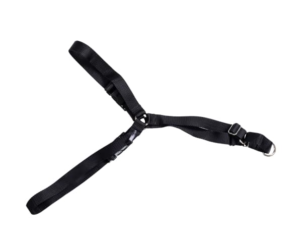 Dog Harness XL