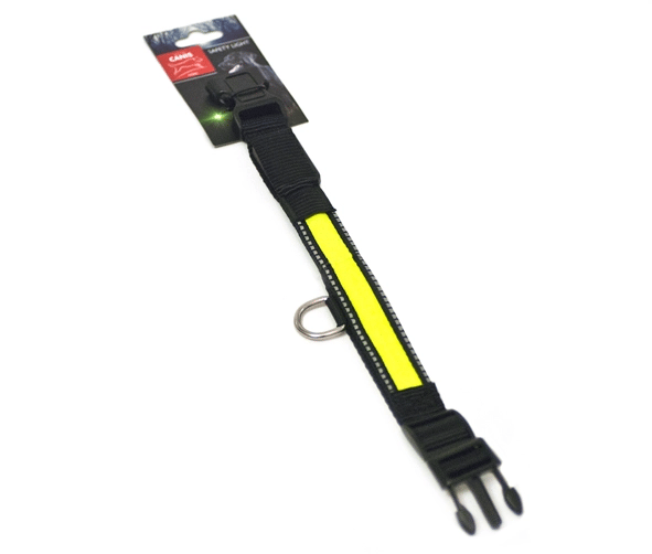 Active Canis Led collar 31 x 2,5 cm