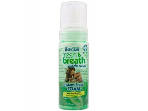 Oralcare foam