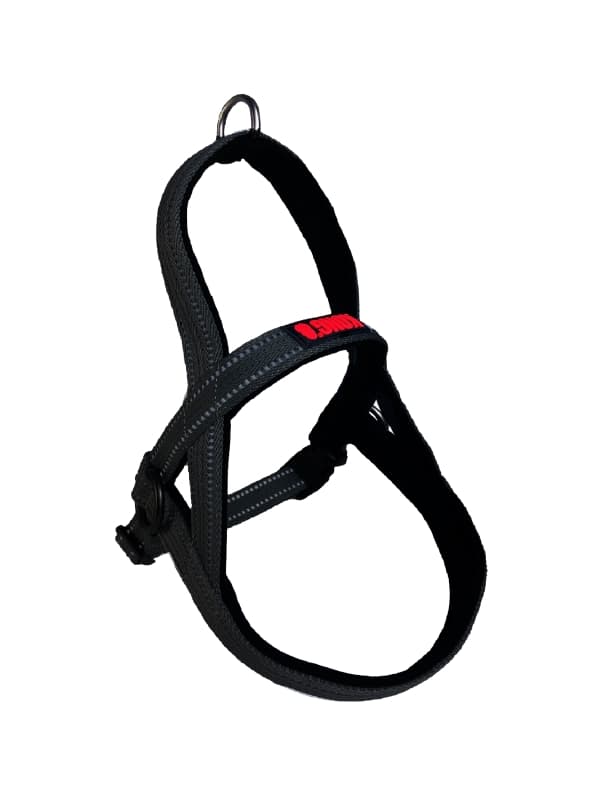 KONG Norwegian harness S Black
