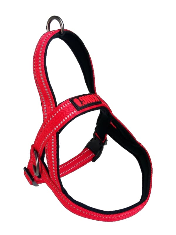KONG Norwegian harness M Red