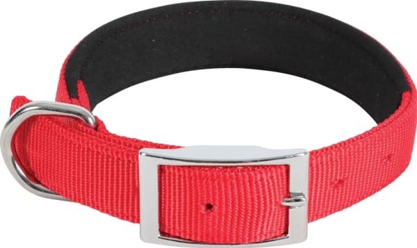 Zolux ZOLUX Nylon collar KOMFORT 45 cm/20 mm, red