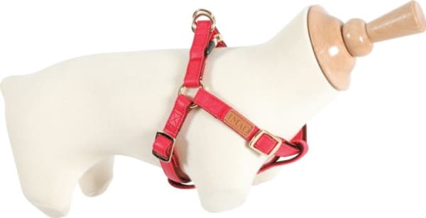 Zolux ZOLUX Harness IMAO MAYFAIR 25 mm, red