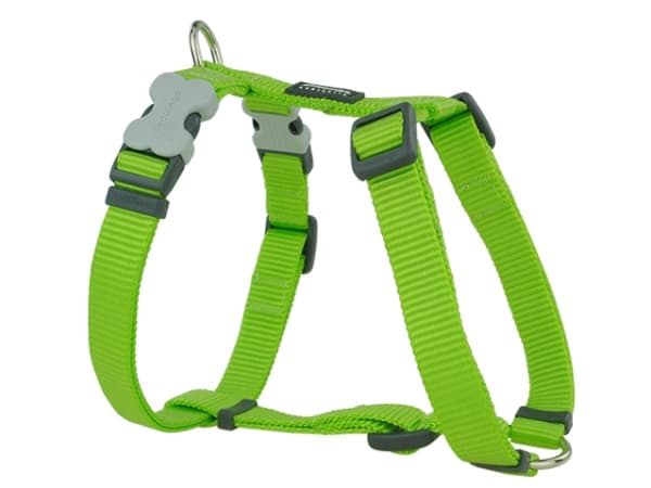 Red Dingo sele, classic lime, 30-48cm/15mm