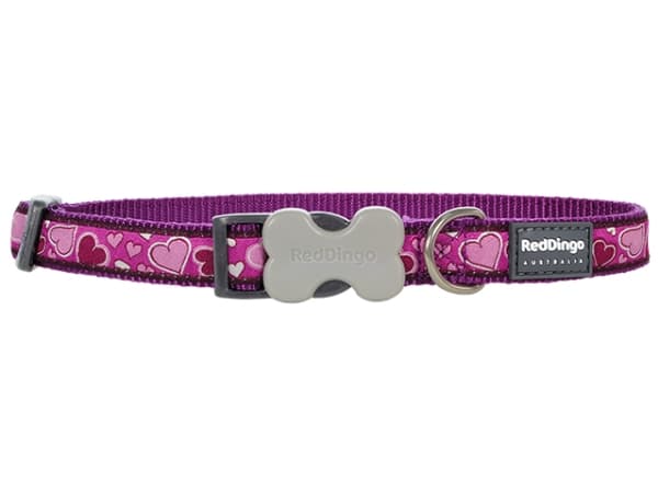 Red Dingo halsbånd, b-love lilla, 41-63cm/25mm