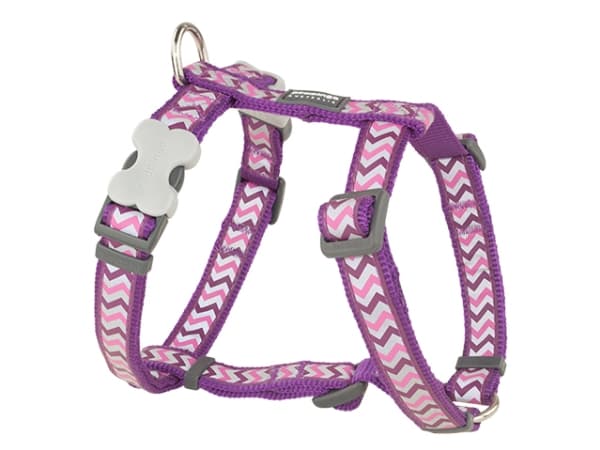 Red Dingo sele, ziggy lilla, 36-59cm/20mm