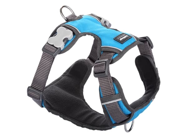 Red Dingo polstret sele, turkis, L