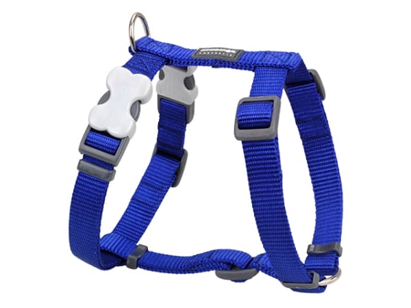 Red Dingo sele, classic blå, 36-59cm/20mm