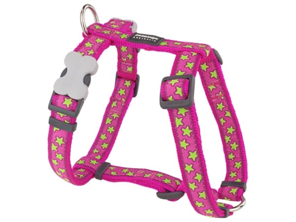 Red Dingo sele, lime stjerner, 36-59cm/20mm