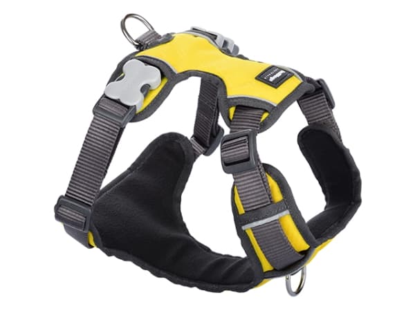 Red Dingo polstret sele, gul, M