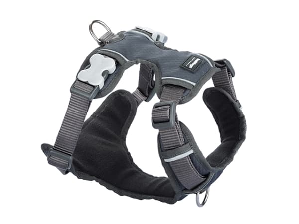 Red Dingo polstret sele, grå, XL