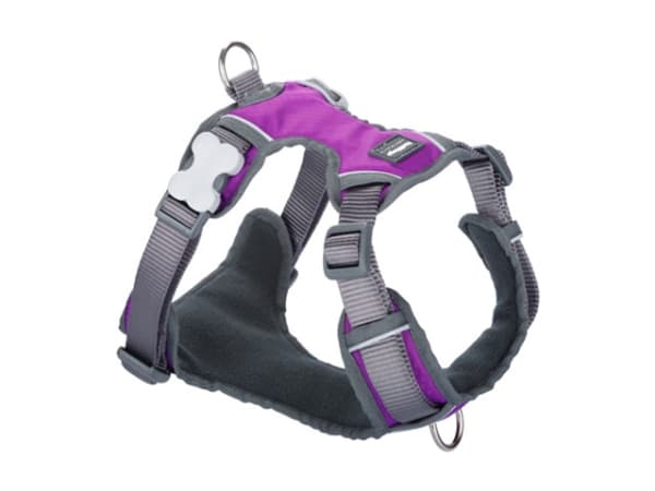 Red Dingo polstret sele, lilla, L