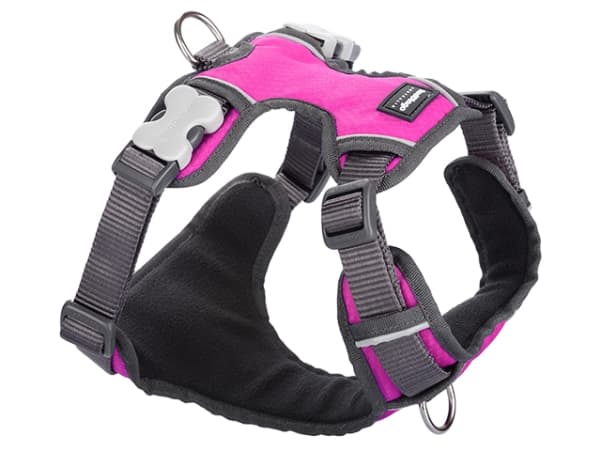 Red Dingo polstret sele, pink, M