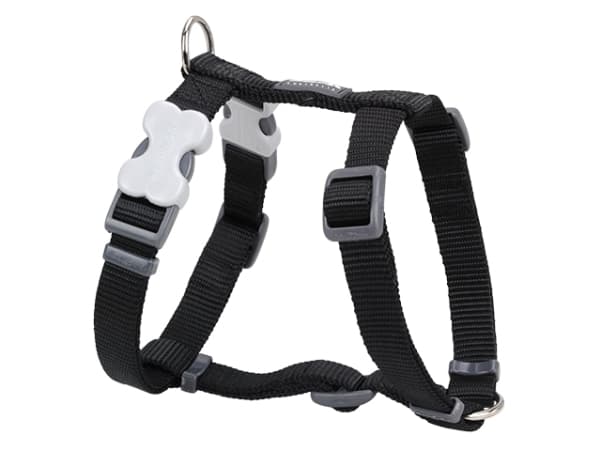 Red Dingo sele, classic sort, 25-39cm/12mm