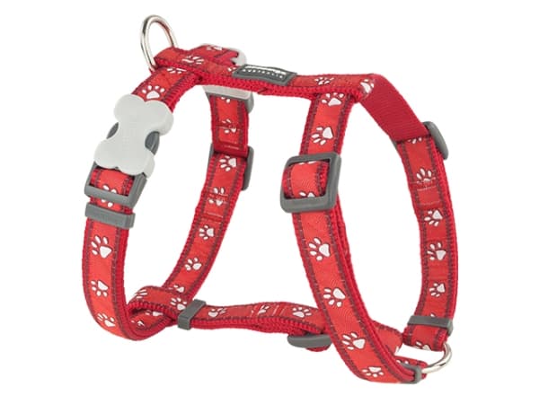 Red Dingo sele, røde poter, 30-48cm/15mm