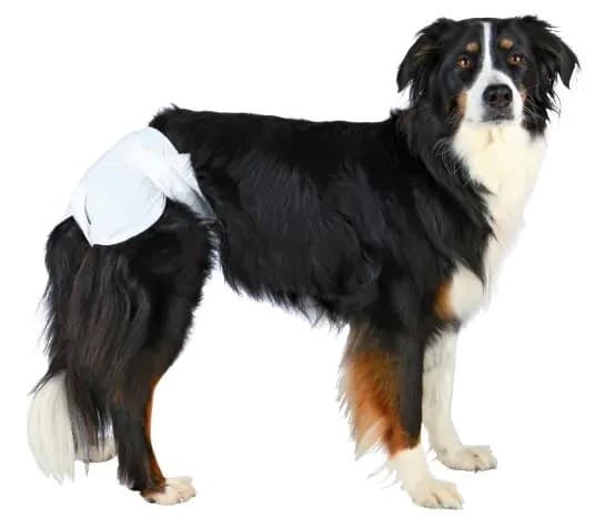 Trixie Hundeble, XS–S, 12 stk