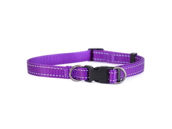 HUNDMAN Bare. halsb Iris lila 22-35cm