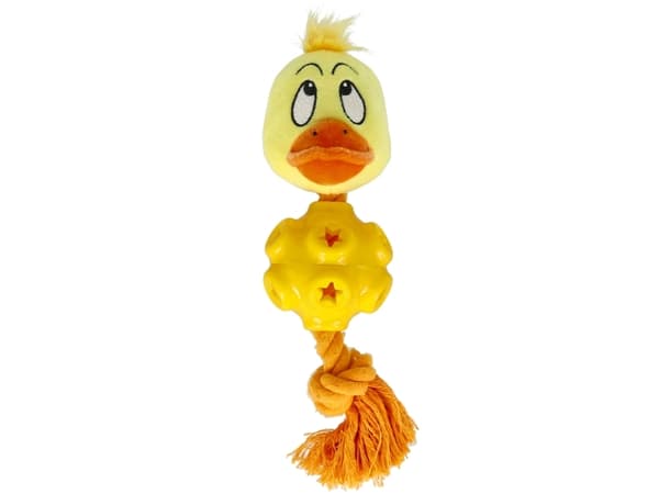 Leksak DuckeGum