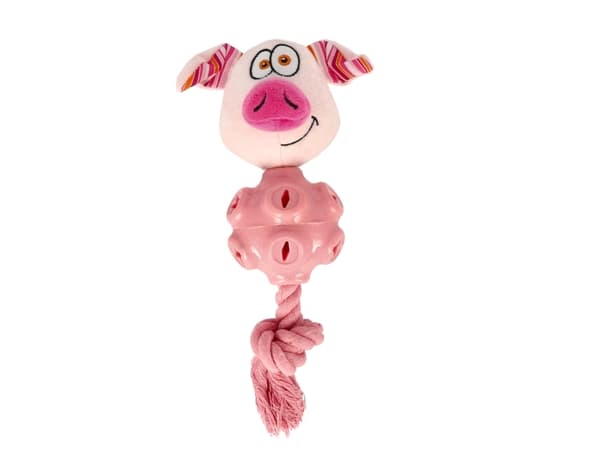Leksak PiggeGum