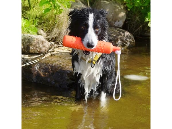 DOGMAN Gummidummies lille 26 cm