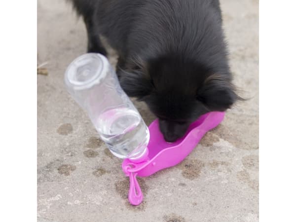 Dogman Vattenflaska Mille Rosa 500ml