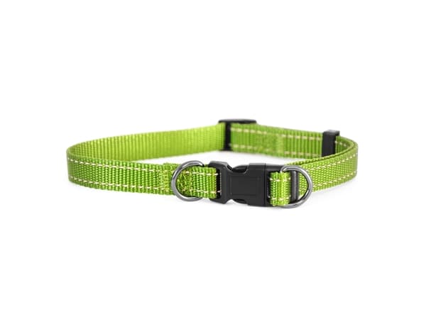 Dogman Iris Ställbart Hundhalsband