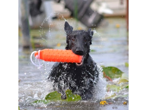 DOGMAN Gummidummies stor 28 cm