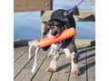 Pikkukuva 4 / 5: DOGMAN Gummidummies stor 28 cm