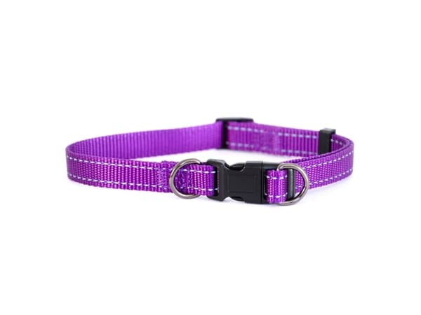 DOGMAN Just. halsb Iris lila 35-60cm
