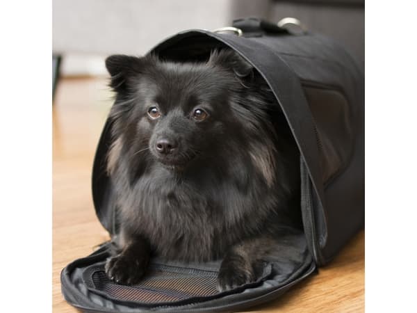 Dogman Bärväska Snobben Black 46cm