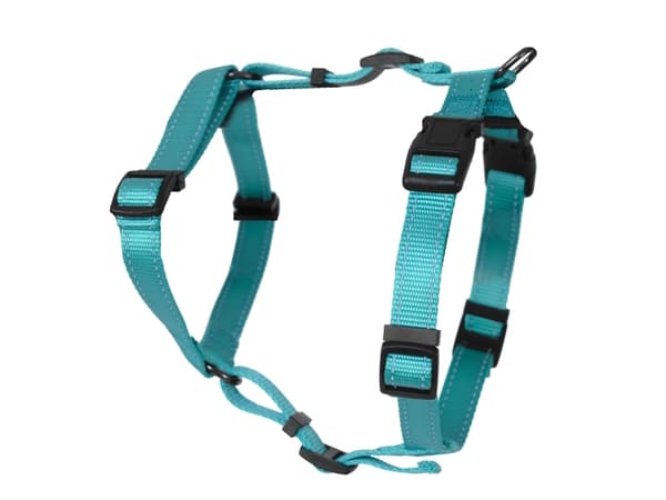 DOGMAN H-sele Iris turkis 10mm