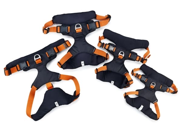 DOGMAN Sportssele Emmi orange L