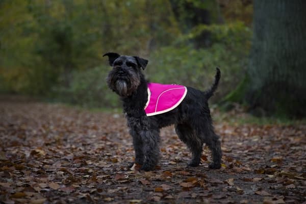 DOGMAN Ref väst Rex rosa XXXL