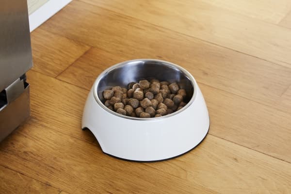 Dogman Alba Food Bowl 22cm