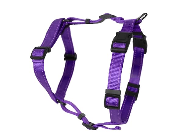 DOGMAN H-sele Iris lila 10mm