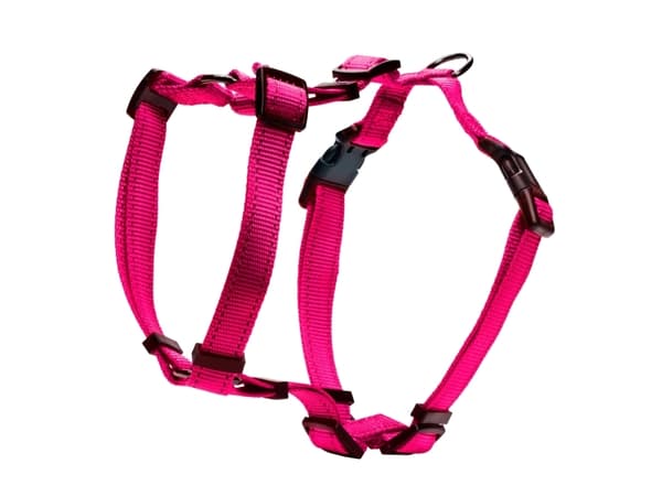 DOGMAN H-sele Iris rosa 25mm