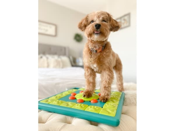 NINA OTTOSSON Multipuzzle