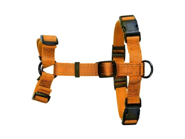 DOGMAN H-sele Iris oransje 25mm